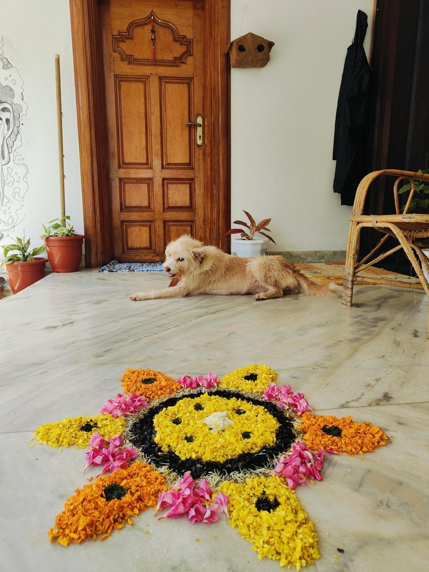 Shamak Homestay Варкала Экстерьер фото